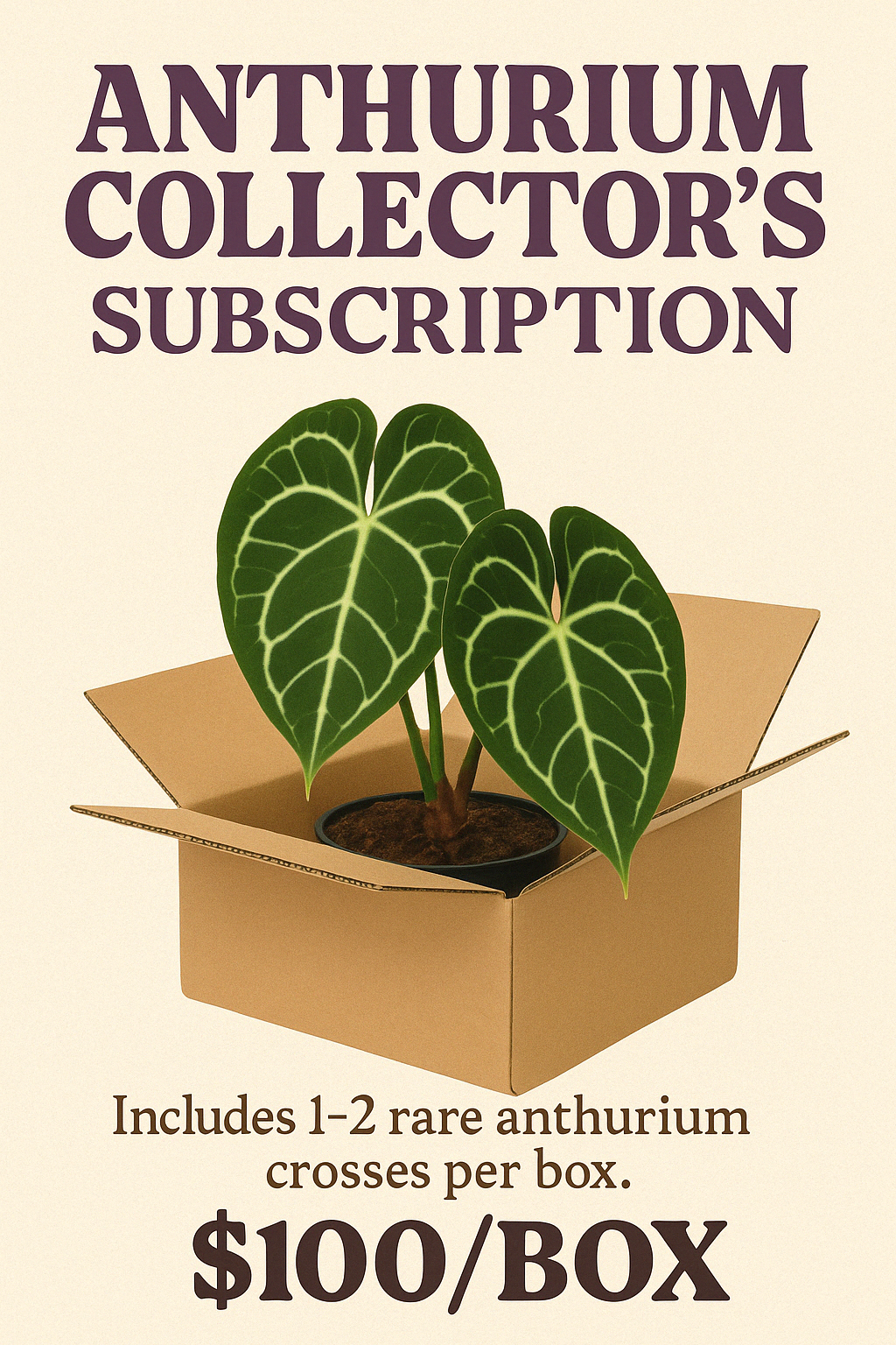 Anthurium Collector’s Subscription Box
